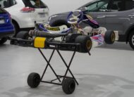 Kosmic X30 Race Kart