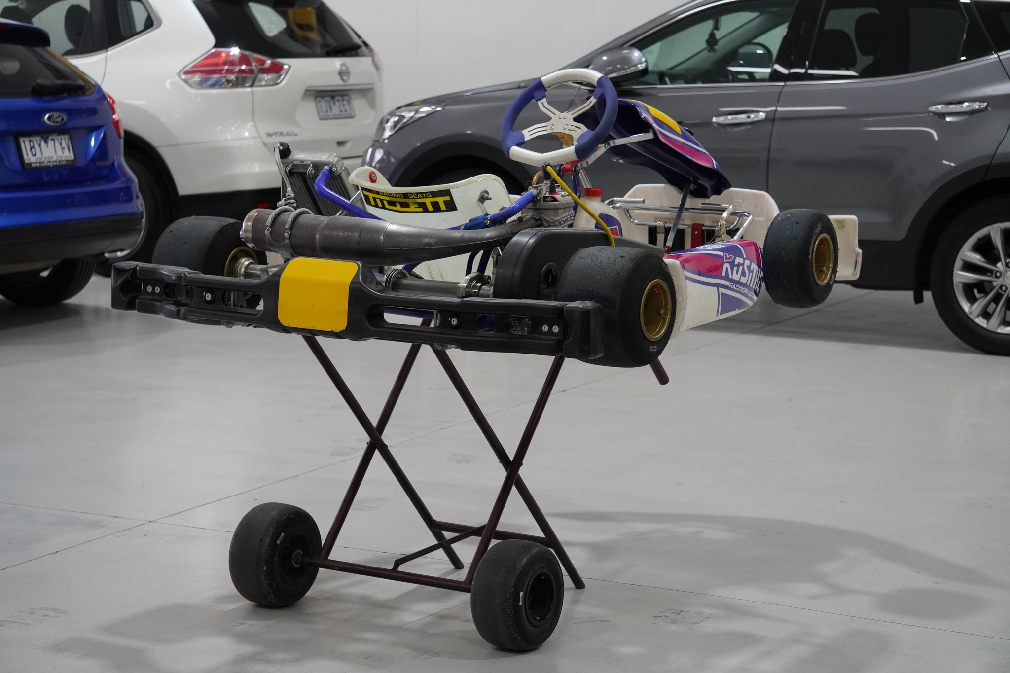 Kosmic X30 Race Kart