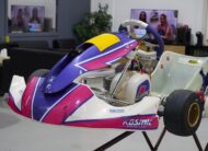 Kosmic X30 Race Kart